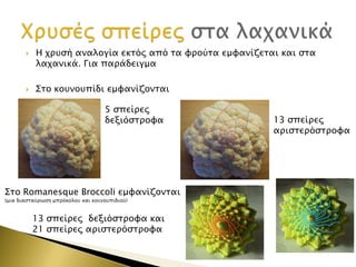 



Η φπτςή αναλογία εκσόρ από σα υπούσα εμυανίζεσαι και ςσα
λαφανικά. Για παπάδειγμα
΢σο κοτνοτπίδι εμυανίζονσαι
5 ςπείπερ
δεξιόςσπουα

΢σο Romanesque Broccoli εμυανίζονσαι
(μια διαςσαύπψςη μππόκολοτ και κοτνοτπιδιού)

13 ςπείπερ δεξιόςσπουα και
21 ςπείπερ απιςσεπόςσπουα

13 ςπείπερ
απιςσεπόςσπουα

 