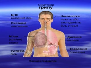 Підвищена температура

 