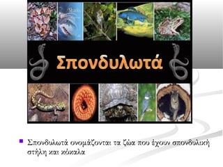 

Σπονδυλωτά ονομάζονται τα ζώα που έχουν σπονδυλική
στήλη και κόκαλα

 