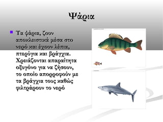 Ψάρια


Τα ψάρια, ζουν
αποκλειστικά μέσα στο
νερό και έχουν λέπια,
πτερύγια και βράγχια.
Χρειάζονται απαραίτητα
οξυγόνο για να ζήσουν,
το οποίο απορροφούν με
τα βράγχια τους καθώς
φιλτράρουν το νερό

 