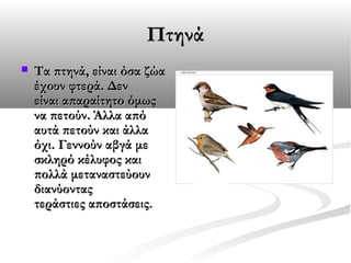 Πτηνά


Τα πτηνά, είναι όσα ζώα
έχουν φτερά. Δεν
είναι απαραίτητο όμως
να πετούν. Άλλα από
αυτά πετούν και άλλα
όχι. Γεννούν αβγά με
σκληρό κέλυφος και
πολλά μεταναστεύουν
διανύοντας
τεράστιες αποστάσεις.

 