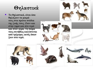 Θηλαστικά


Τα θηλαστικά, είναι όσα 
θηλάζουν τα μικρά 
τους στα πρώτα στάδια 
της ζωής τους. Ζουν και 
στην ξηρά και στο νερό 
και στον αέρα. Το σώμα 
τους συνήθως καλύπτεται 
από τρίχωμα, εκτός όσων 
ζουν στο νερό.

 