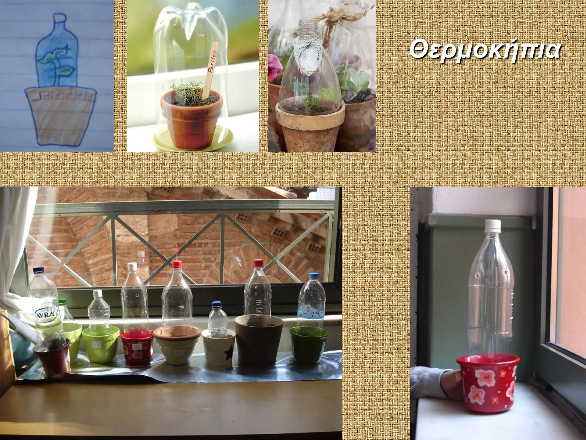 Θερμοκήπια

 