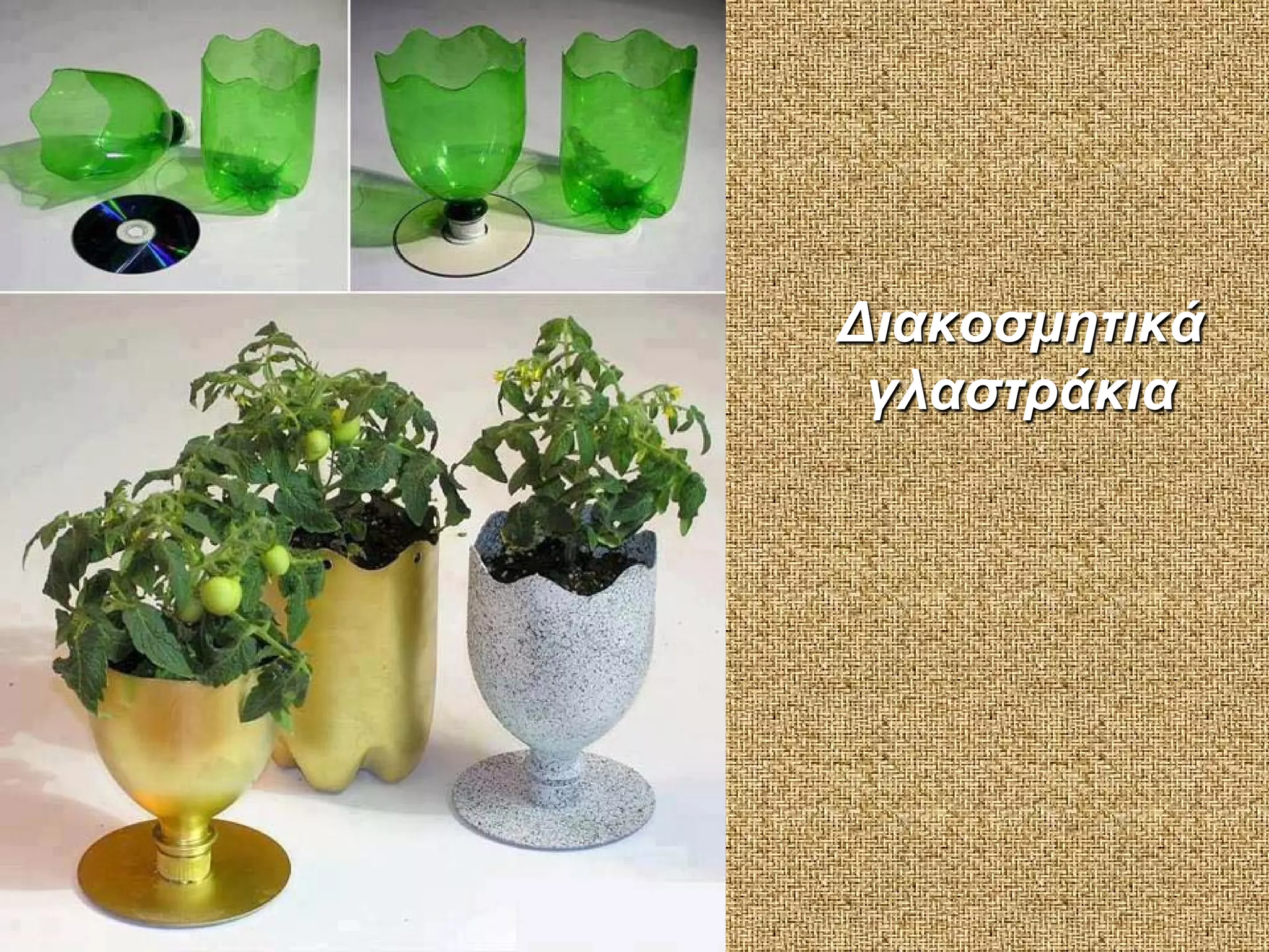 Διακοσμητικά
γλαστράκια

 