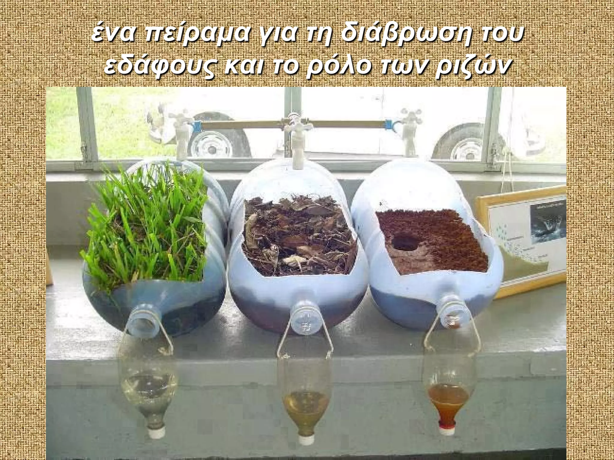 ένα πείραμα για τη διάβρωση του
εδάφους και το ρόλο των ριζών

 