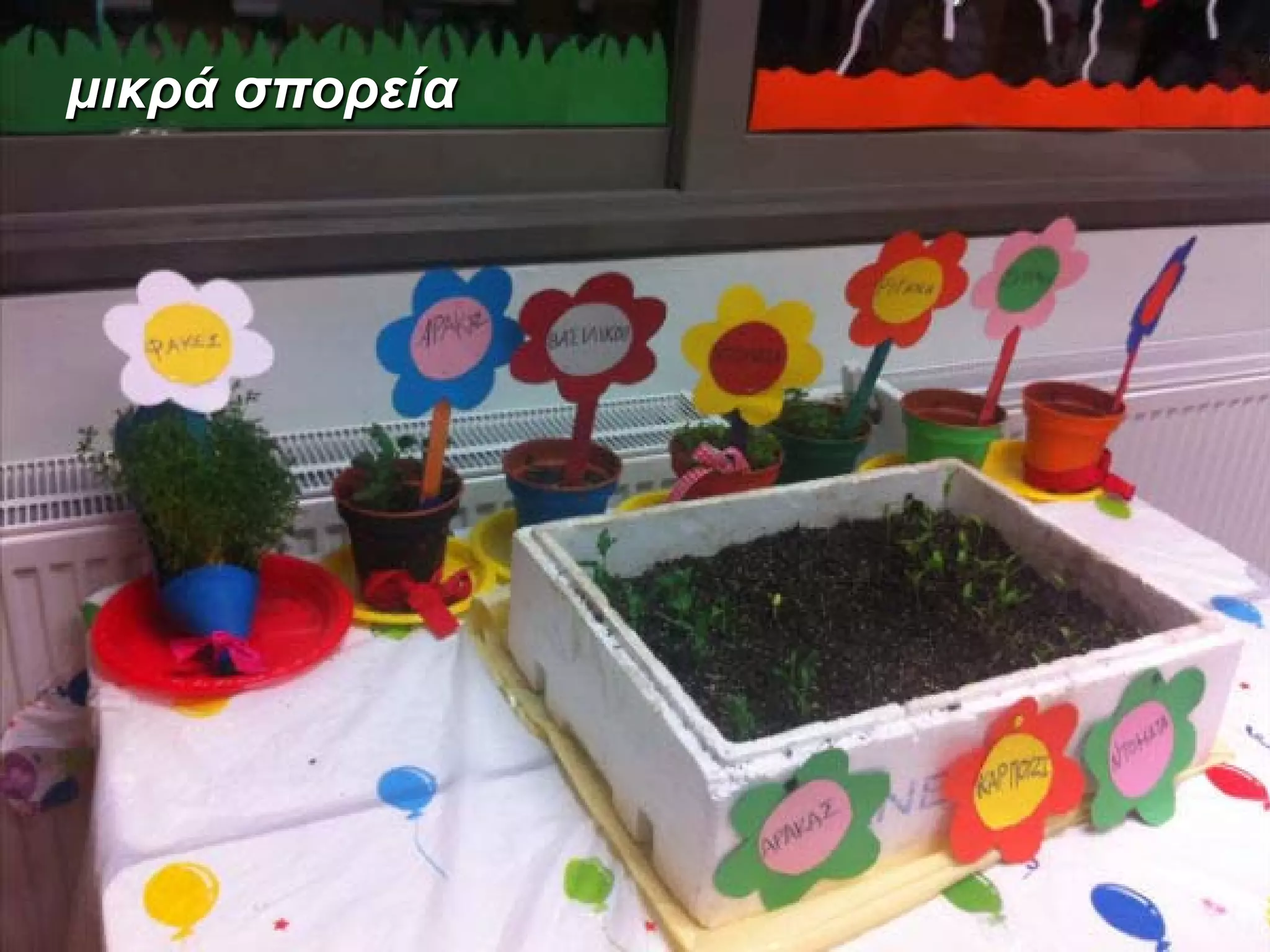 μικρά σπορεία

 