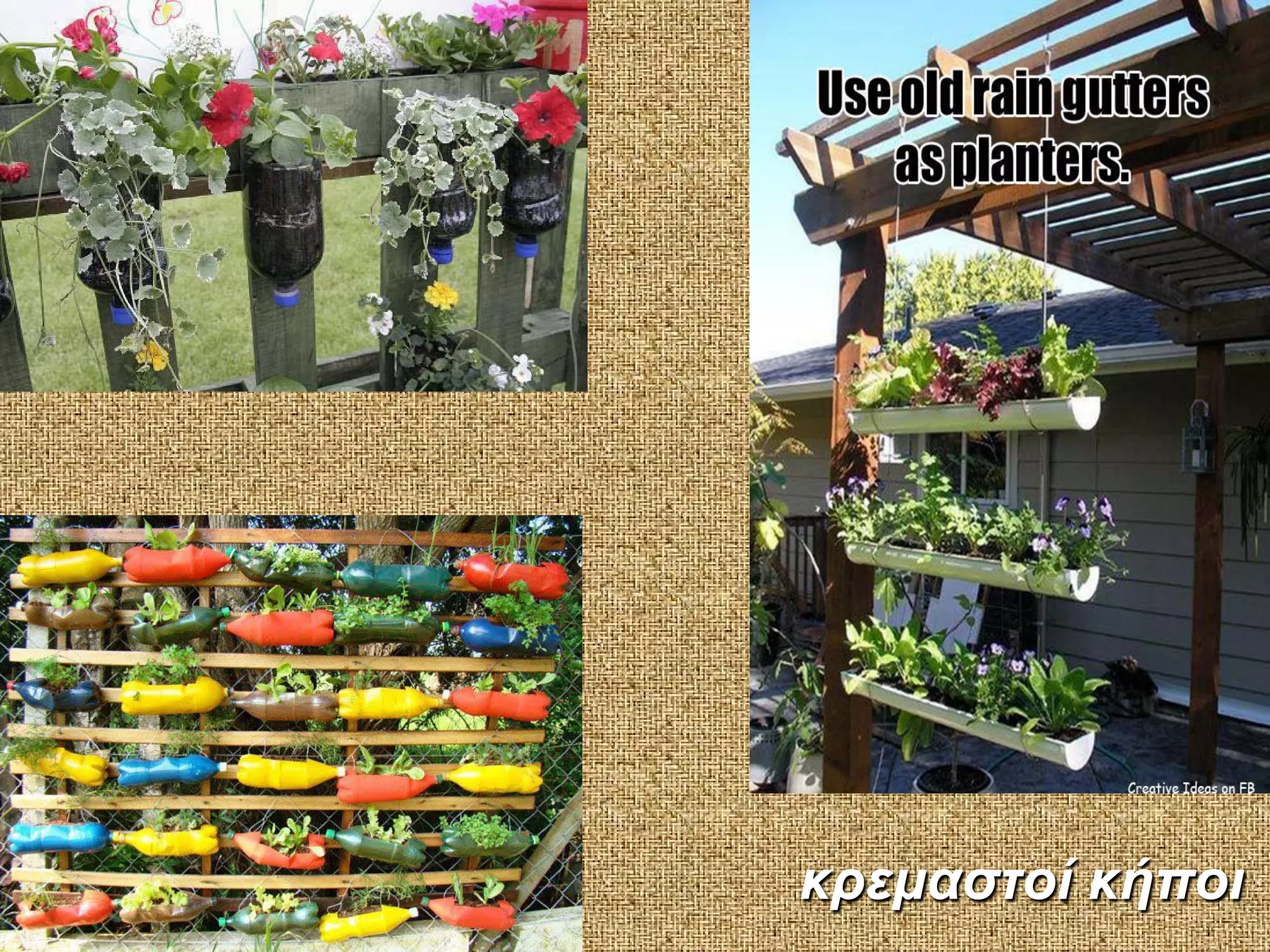 κρεμαστοί κήποι

 