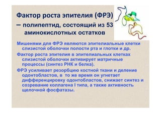 Фактор роста эпителия (ФРЭ)
– полипептид, состоящий из 53
аминокислотных остатков
Мишенями для ФРЭ являются эпителиальные клетки
слизистой оболочки полости рта и глотки и др.
Фактор роста эпителия в эпителиальных клетках
слизистой оболочки активирует матричные
процессы (синтез РНК и белка).
ФРЭ усиливает резорбцию костной ткани и деление
одонтобластов, в то же время он угнетает
дифференцировку одонтобластов, снижает синтез и
созревание коллагенa I типа, а также активность
щелочной фосфатазы.

 