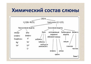 Химический состав слюны

 