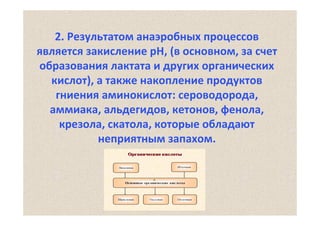 2. Результатом анаэробных процессов
является закисление рН, (в основном, за счет
образования лактата и других органических
кислот), а также накопление продуктов
гниения аминокислот: сероводорода, 
аммиака, альдегидов, кетонов, фенола, 
крезола, скатола, которые обладают
неприятным запахом.

 