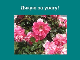 Дякую за увагу!

 