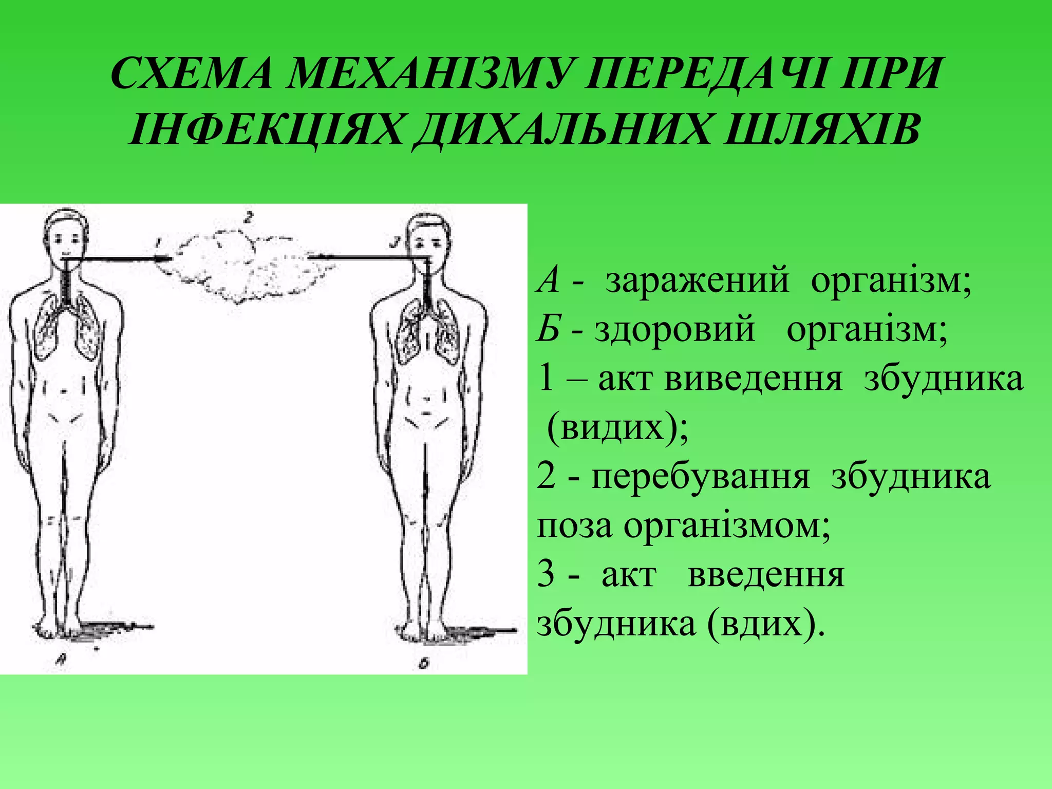 СХЕМА МЕХАНІЗМУ ПЕРЕДАЧІ ПРИ
ІНФЕКЦІЯХ ДИХАЛЬНИХ ШЛЯХІВ
А - заражений організм;
Б - здоровий організм;
1 – акт виведення збудника
(видих);
2 - перебування збудника
поза організмом;
3 - акт введення
збудника (вдих).

 