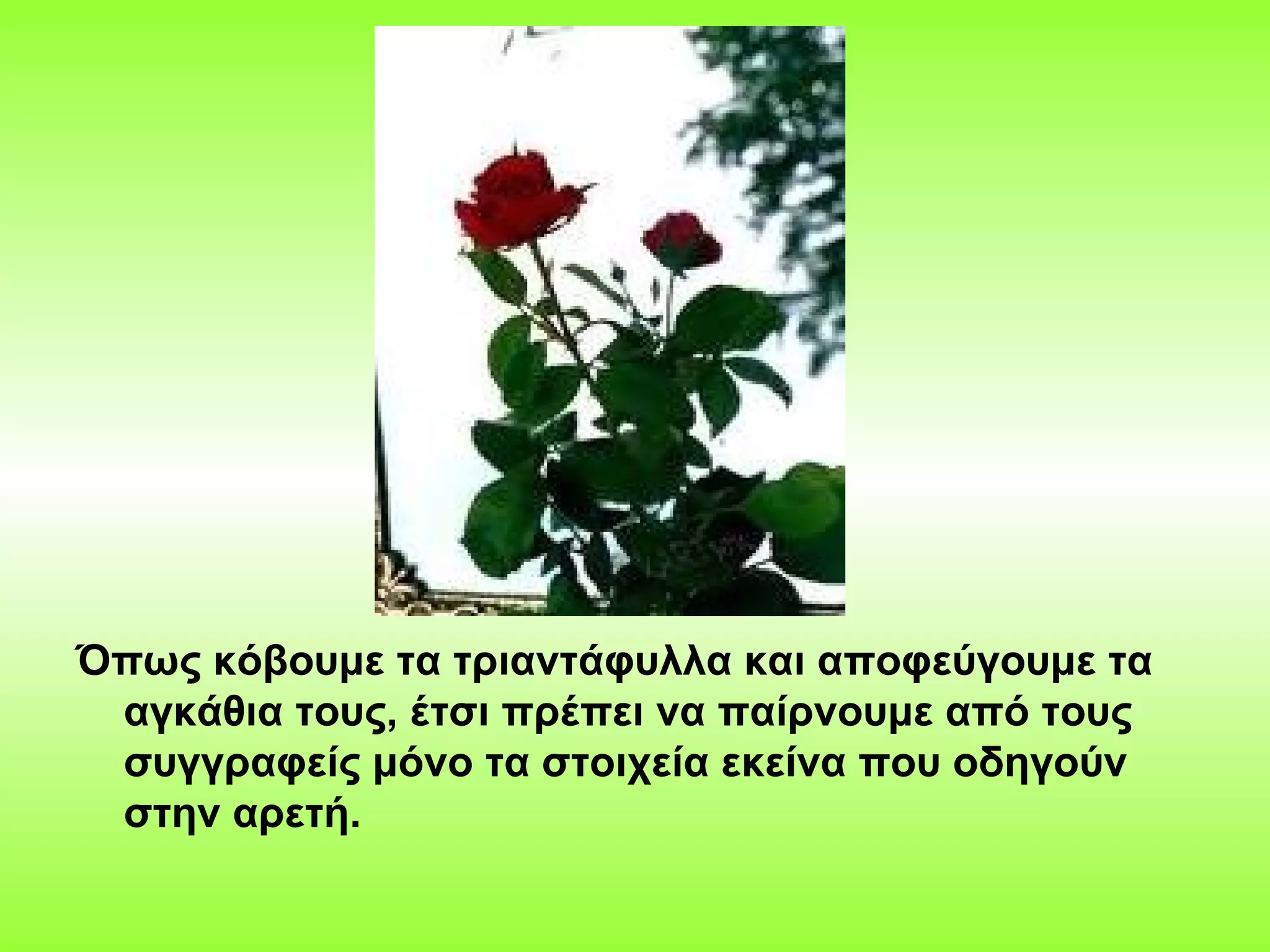 Όπως κόβουμε τα τριαντάφυλλα και αποφεύγουμε τα
αγκάθια τους, έτσι πρέπει να παίρνουμε από τους
συγγραφείς μόνο τα στοιχεία εκείνα που οδηγούν
στην αρετή.

 