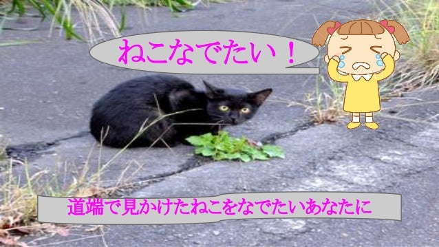 ねこなでたい
