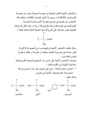 البروتيــــنــــات