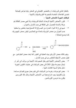 البروتيــــنــــات