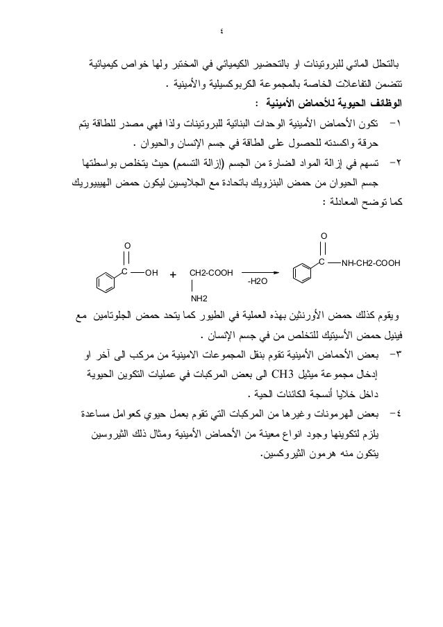 البروتيــــنــــات