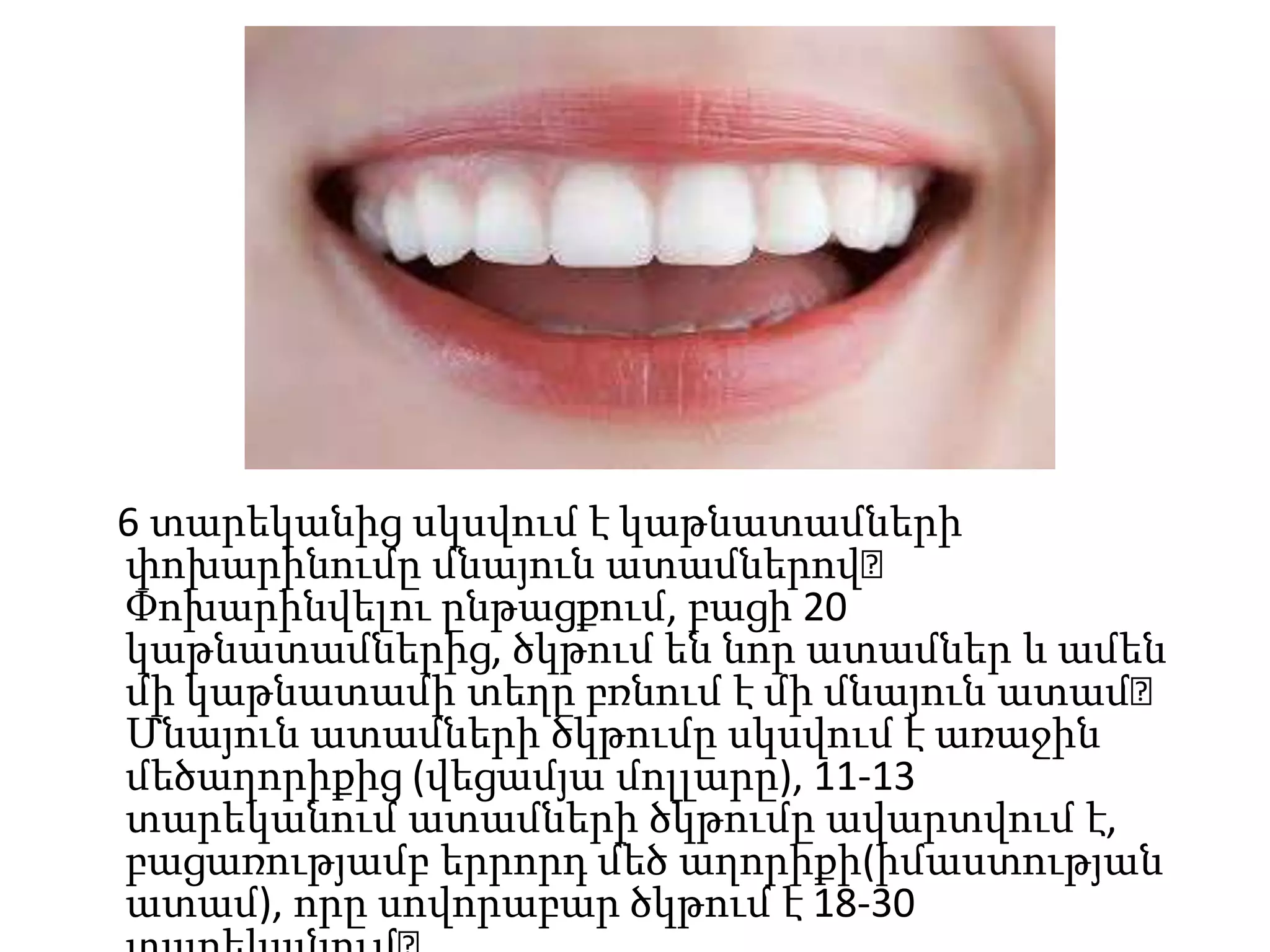 6 տարեկանից սկսվում է կաթնատամների
փոխարինումը մնայուն ատամներով։
Փոխարինվելու ընթացքում, բացի 20
կաթնատամներից, ծկթում են նոր ատամներ և ամեն
մի կաթնատամի տեղը բռնում է մի մնայուն ատամ։
Մնայուն ատամների ծկթումը սկսվում է առաջին
մեծաղորիքից (վեցամյա մոլլարը), 11-13
տարեկանում ատամների ծկթումը ավարտվում է,
բացառությամբ երրորդ մեծ աղորիքի(իմաստության
ատամ), որը սովորաբար ծկթում է 18-30

 