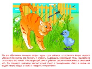 Но все обитатели птичьего двора - куры, гуси, индюки - столпились вокруг гадкого
утёнка и принялись его толкать и клевать. А девушка, кормившая птиц, недовольно
оттолкнула его ногой. На следующий день с утёнком решил познакомиться дворовый
кот. Он подошёл, красуясь, выгнул дугой спину и промурлыкал: «Мяу, в жизни не
видел такого урода, с таким и говорить-то противно».

 