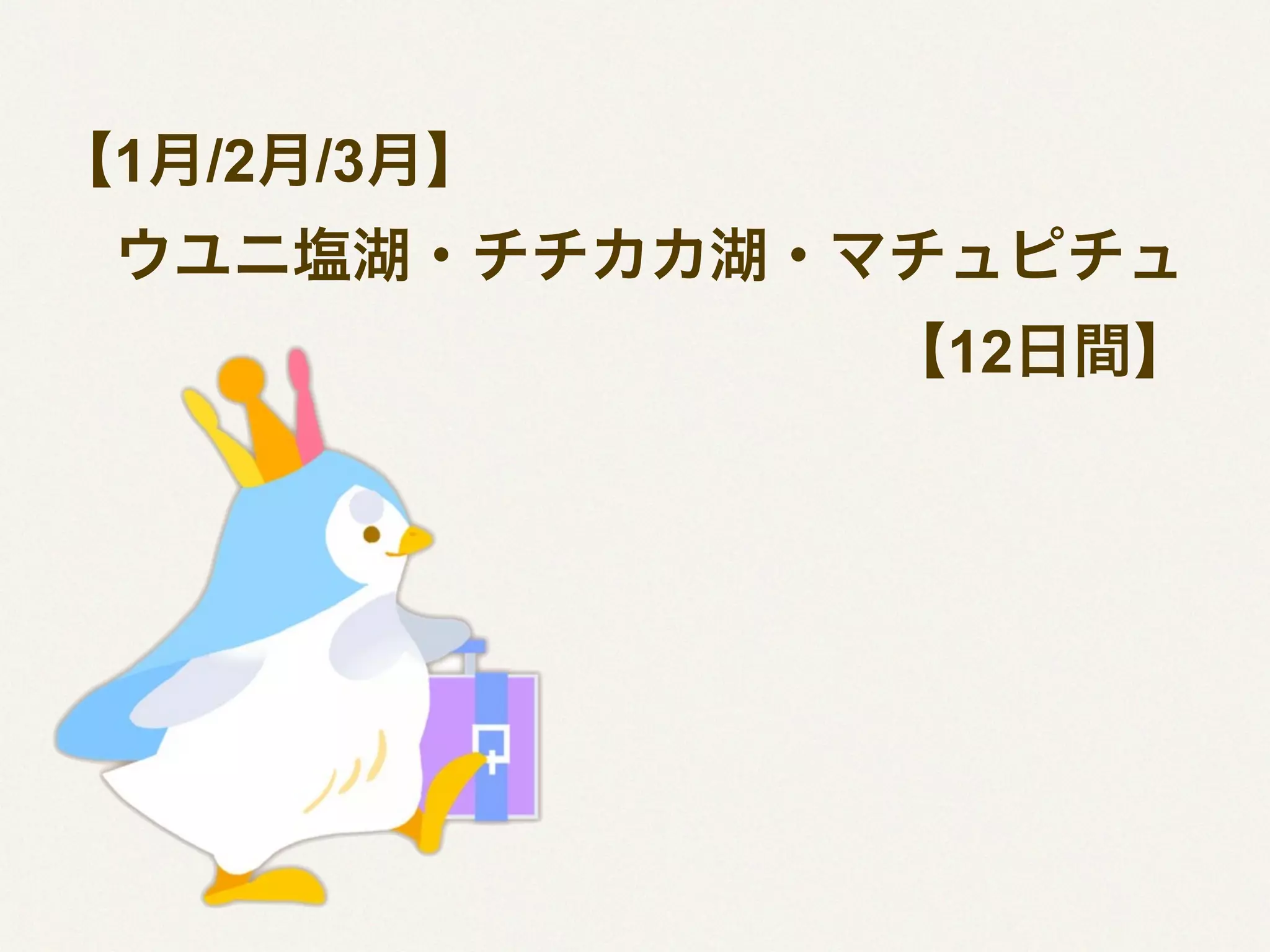 【1月/2月/3月】
 ウユニ塩湖・チチカカ湖・マチュピチュ
              【12日間】

 