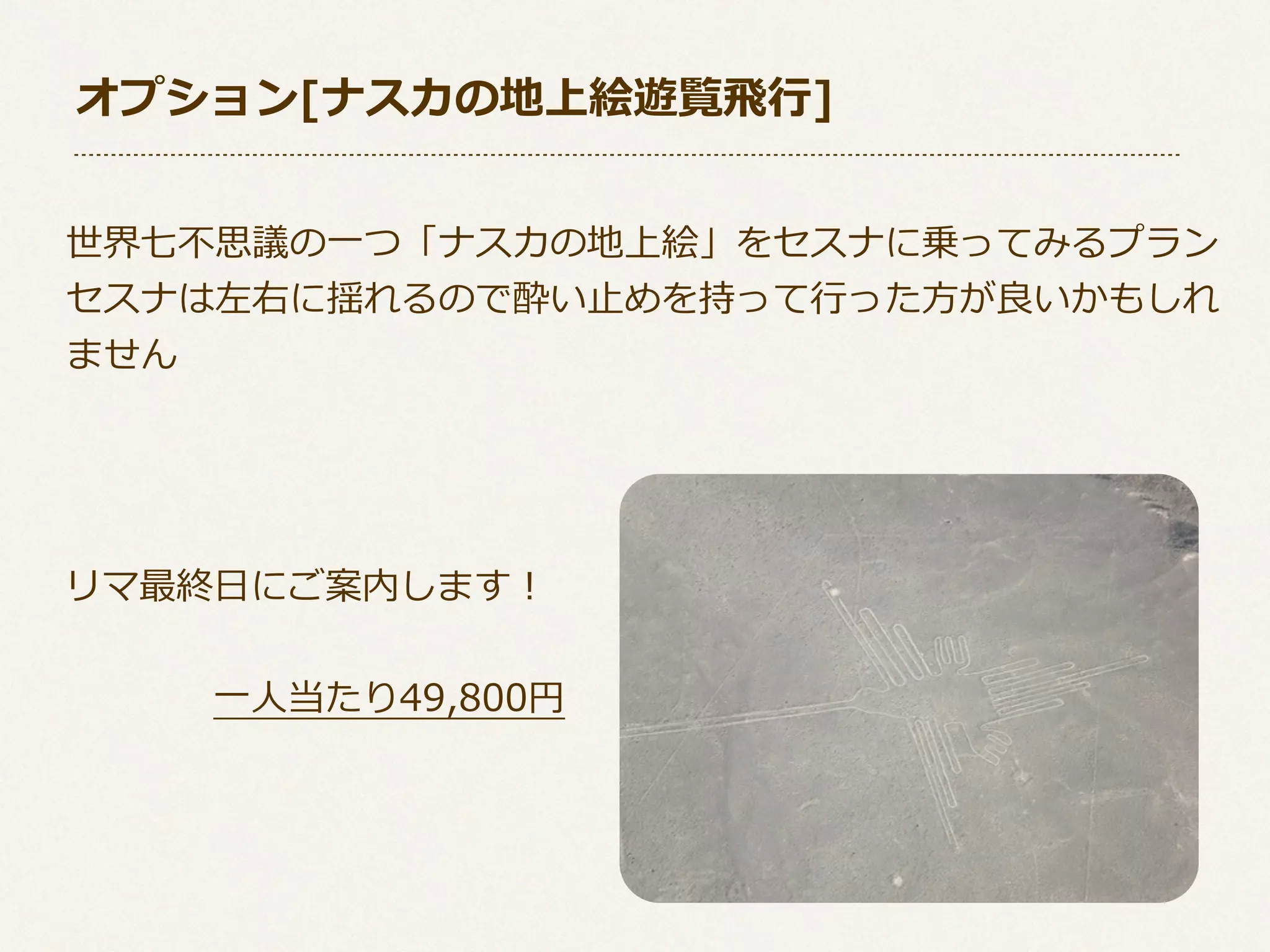 オプション[ナスカの地上絵遊覧⾶飛⾏行行]
世界七不不思議の⼀一つ「ナスカの地上絵」をセスナに乗ってみるプラン
セスナは左右に揺れるので酔い⽌止めを持って⾏行行った⽅方が良良いかもしれ
ません

リマ最終⽇日にご案内します！
 　 　 　 　⼀一⼈人当たり49,800円

 