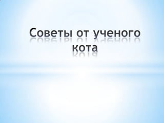 советы от ученого кота