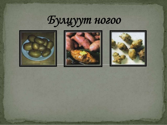 булцуут ногоо