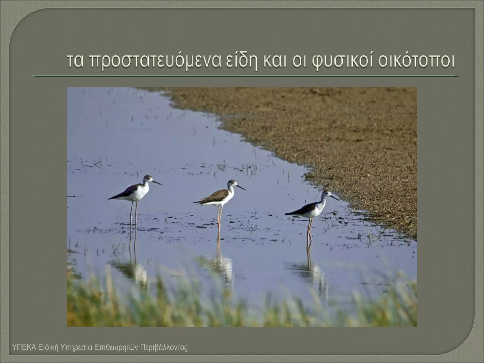 ΥΠΕΚΑ Ειδική Υπηρεσία Επιθεωρητών Περιβάλλοντος

 