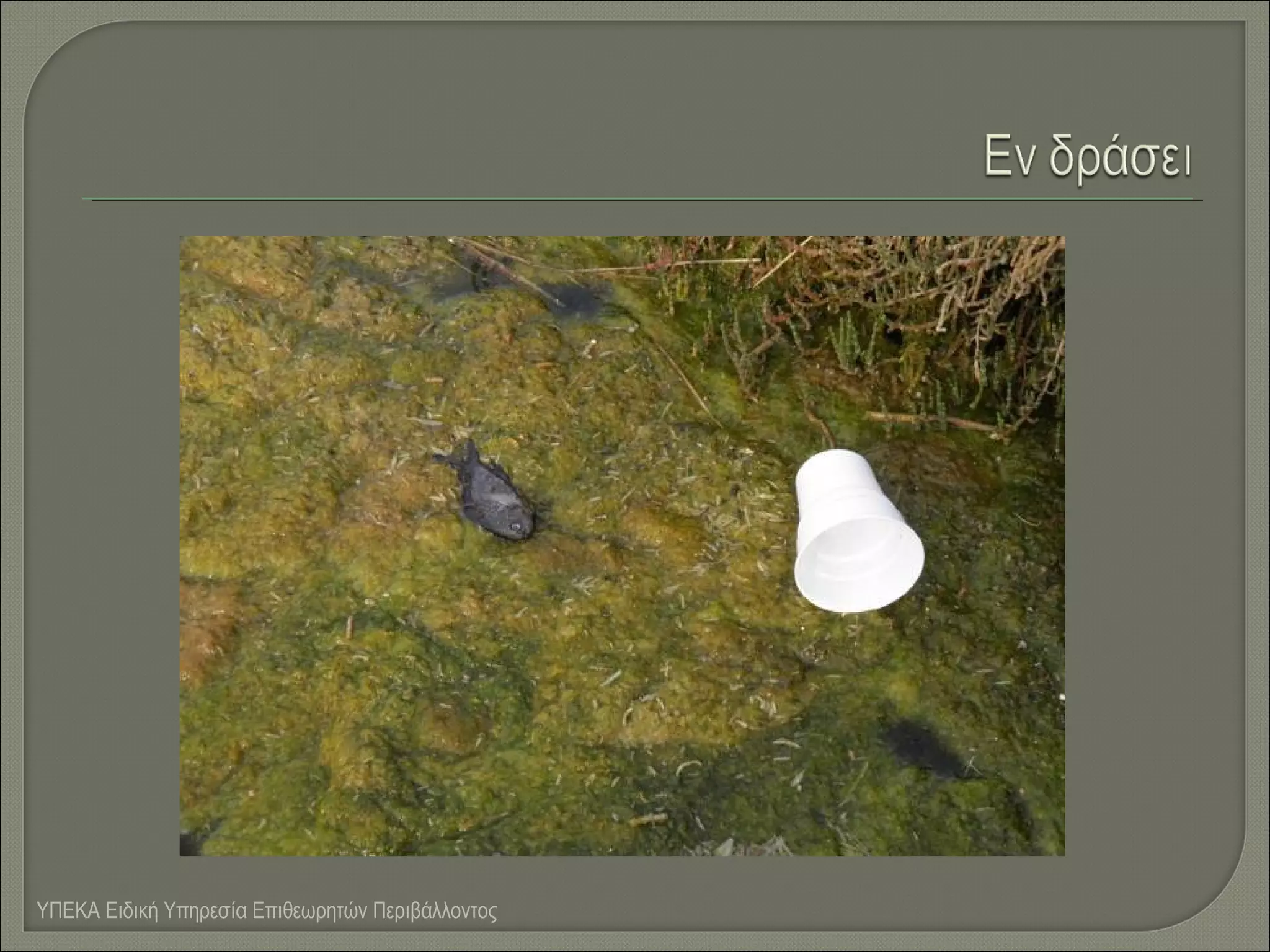 ΥΠΕΚΑ Ειδική Υπηρεσία Επιθεωρητών Περιβάλλοντος

 