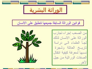 ‫الوراثة البشرية‬
‫قوانين الوراثة السابقة جميعها تنطبق على النسان‬
‫شمن الصعب إجراء تجارب‬
‫الوراثة على النسان لذلك‬
‫لجممأ العلماء الممى دراسة‬
‫تاريمممخ العائلة وشجرة‬
‫نسمبها لمعرفمة كيفية انتقال‬
‫الصفات الوراثية شمن جيل‬
‫لخر.‬

 