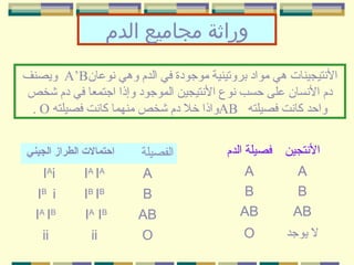 ‫وراثة مجاميع الدم‬
‫النتيجينات هي مواد بروتينية موجودة في الدم وهي نوعان‪ A’B‬ويصنف‬
‫دم النسان على حسب نوع النتيجين الموجود وإنذا اجتمعا في دم شخص‬
‫واحد كانت فصيلته ‪AB‬وانذا خل دم شخص منهما كانت فصيلته ‪. O‬‬
‫النتجين فصيلة الدم‬
‫‪A‬‬
‫‪B‬‬
‫‪AB‬‬

‫‪A‬‬
‫‪B‬‬
‫‪AB‬‬

‫ل يوجد‬

‫‪O‬‬

‫الفصيلة‬
‫‪A‬‬
‫‪B‬‬
‫‪AB‬‬
‫‪O‬‬

‫احتمال ت الطراز الجيني‬

‫‪IA IA‬‬
‫‪IB IB‬‬
‫‪IA I B‬‬
‫‪ii‬‬

‫‪I Ai‬‬
‫‪IB i‬‬
‫‪IA IB‬‬
‫‪ii‬‬

 