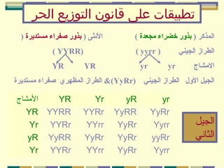 ‫تطبيقات على قانون التوزيع الحر‬
‫المذكر ) بذور خضراء مجعدة (‬
‫الطراز الجيني‬
‫المشاج‬

‫الثنثى ) بذور صفراء مستديرة )‬

‫) ‪( yyrr‬‬
‫‪yr‬‬

‫‪yr‬‬

‫)‪( YYRR‬‬
‫‪YR‬‬

‫‪YR‬‬

‫الجيل الول الطراز الجيني )‪ &(YyRr‬الطراز المظهري صفراء مستديرة‬

‫الجيل‬
‫الثاني‬

‫‪yr‬‬
‫‪YyRr‬‬
‫‪Yyrr‬‬
‫‪yyRr‬‬
‫‪Yyrr‬‬

‫‪yR‬‬
‫‪YyRR‬‬
‫‪YyRr‬‬
‫‪YyRr‬‬
‫‪YyRr‬‬

‫‪Yr‬‬
‫‪YYRr‬‬
‫‪YYrr‬‬
‫‪YyRr‬‬
‫‪YYrr‬‬

‫الشمشاج‬
‫‪YR‬‬
‫‪YR YYRR‬‬
‫‪Yr YYRr‬‬
‫‪yR YyRR‬‬
‫‪Yr YYRr‬‬

 