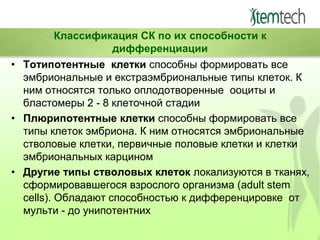 Классификация СК по их способности к
дифференциации
• Тотипотентные клетки способны формировать все
эмбриональные и екстраэмбриональные типы клеток. К
ним относятся только оплодотворенные ооциты и
бластомеры 2 - 8 клеточной стадии
• Плюрипотентные клетки способны формировать все
типы клеток эмбриона. К ним относятся эмбриональные
стволовые клетки, первичные половые клетки и клетки
эмбриональных карцином
• Другие типы стволовых клеток локализуются в тканях,
сформировавшегося взрослого организма (adult stem
cells). Обладают способностью к дифференцировке от
мульти - до унипотентних

 