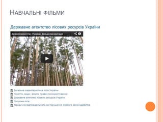 НАВЧАЛЬНІ ФІЛЬМИ

 