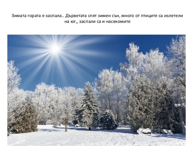 Зима