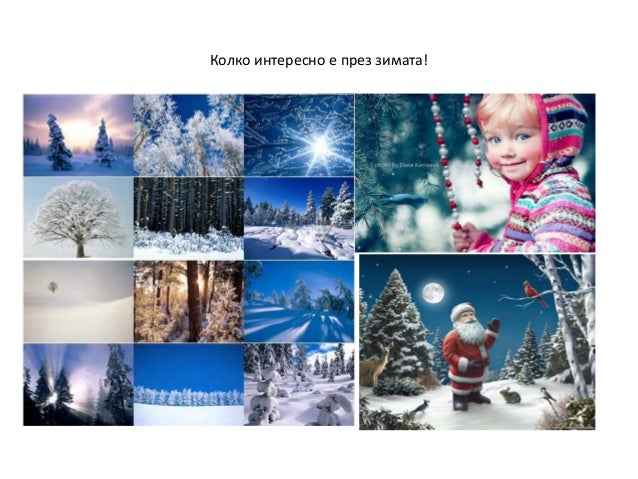 Око зимы пое