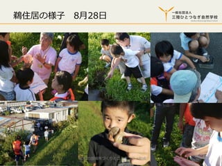 鵜住居の様⼦子 　8⽉月28⽇日

2013/12/13

⼦子どもの居場所づくりとコミュニティ形成

13

 