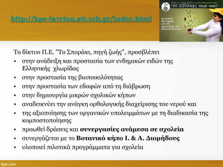 http://kpe-lavriou.att.sch.gr/index.html

Το δίκτυο Π.Ε. "Το Σποράκι, πηγή ζωής", προσβλέπει
• στην ανάδειξη και προστασία των ενδημικών ειδών της
Ελληνικής χλωρίδας
• στην προστασία της βιοποικιλότητας
• στην προστασία των εδαφών από τη διάβρωση
• στην δημιουργία μικρών σχολικών κήπων
• αναδεικνύει την ανάγκη ορθολογικής διαχείρισης του νερού και
• της αξιοποίησης των οργανικών υπολειμμάτων με τη διαδικασία της
κομποστοποίησης
• προωθεί δράσεις και συνεργασίες ανάμεσα σε σχολεία
• συνεργάζεται με το Βοτανικό κήπο Ι. & Α. Διομήδους
• υλοποιεί πιλοτικά προγράμματα για σχολεία

 