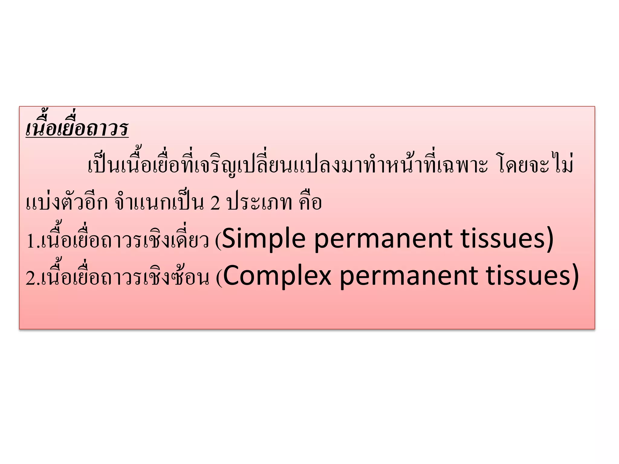 เนื้อเยื่อถาวร
เป็นเนื้อเยื่อที่เจริญเปลี่ยนแปลงมาทาหน้าที่เฉพาะ โดยจะไม่
แบ่งตัวอีก จาแนกเป็น 2 ประเภท คือ
1.เนื้อเยื่อถาวรเชิงเดี่ยว (Simple permanent tissues)
2.เนื้อเยื่อถาวรเชิงซ้อน (Complex permanent tissues)

 