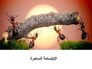 ‫اإلبتسامة الساحرة‬

 