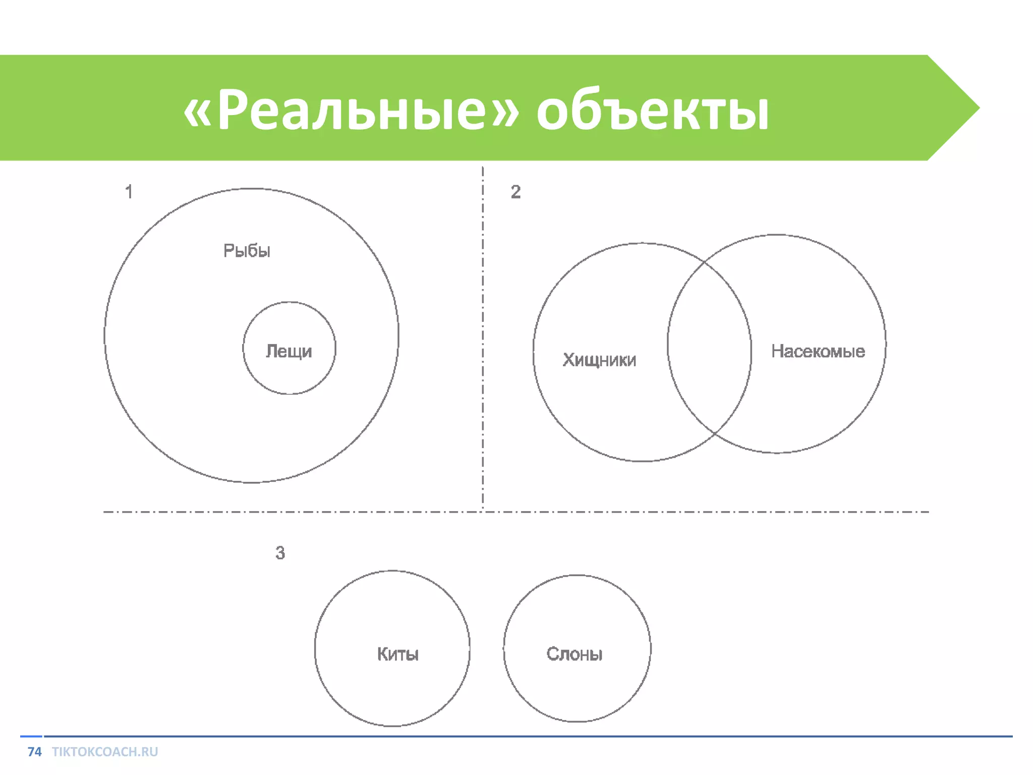 «Реальные» объекты

74 TIKTOKCOACH.RU

 