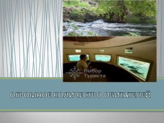 Самсонова Даша 7г