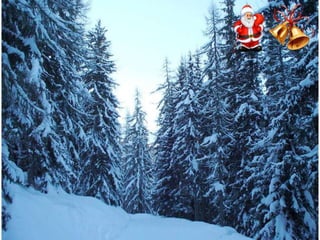 Χριστουγεννιάτικες εικόνες