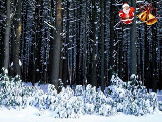 Χριστουγεννιάτικες εικόνες