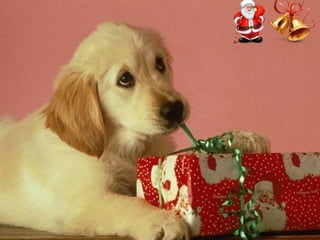 Χριστουγεννιάτικες εικόνες