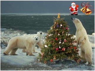 Χριστουγεννιάτικες εικόνες