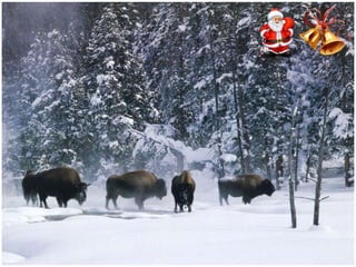 Χριστουγεννιάτικες εικόνες