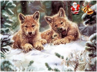 Χριστουγεννιάτικες εικόνες