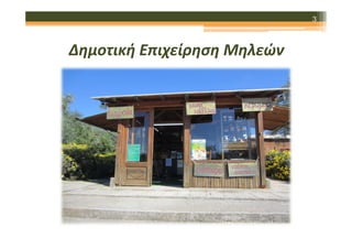 3

Δημοτική Επιχείρηση Μηλεών

 