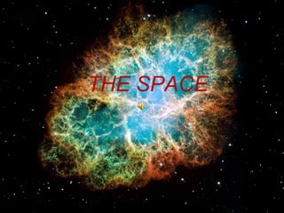 THE SPACE

 